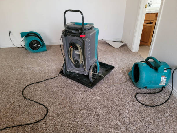 Best Ceiling water damage repair  in Hancock, MI
