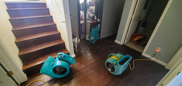 Best Water damage restoration services  in Hancock, MI