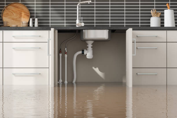 Best Commercial water damage restoration  in Hancock, MI