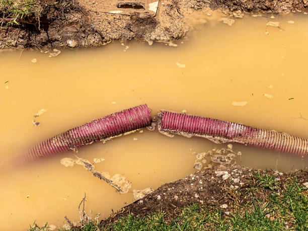 Best Emergency water damage restoration  in Hancock, MI