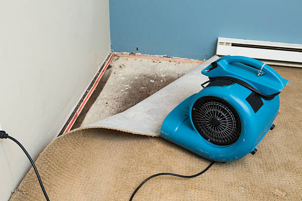 Best Local water damage restoration  in Hancock, MI